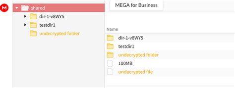 undecrypted folder mega